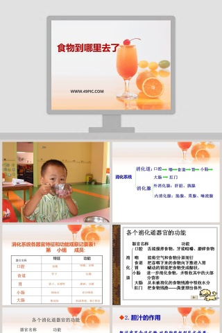 食物到哪里去了？用PPT模板展示产品发布的流程