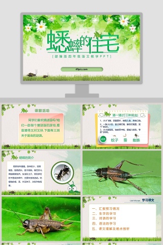 部编版四年级语文蟋蟀的住宅语文课件PPT