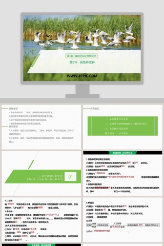 第5章基因突变及其他变异教学ppt课件