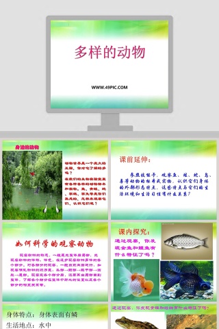 多样的动物教学ppt课件