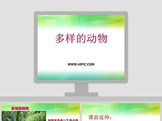 多样的动物教学ppt课件