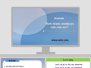 How many monkeys-can you see教学ppt课件