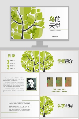 部编版四年级语文鸟的天堂PPT课件