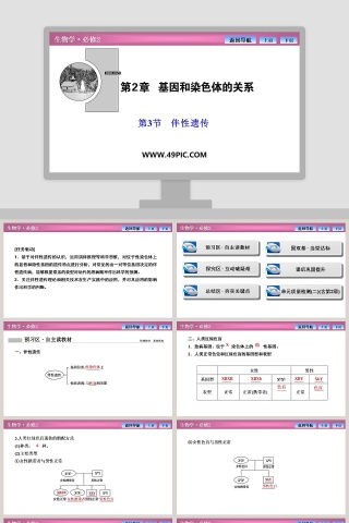 第-3教学ppt课件下载