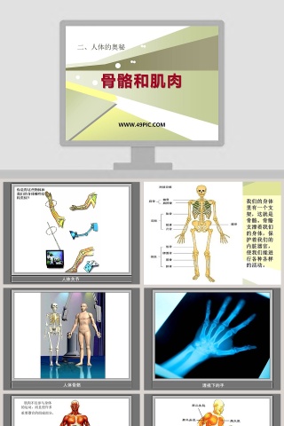 骨骼和肌肉二人体的奥秘教学ppt课件
