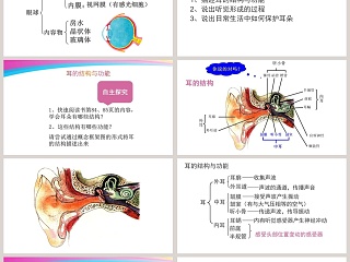 第-章人体的自我调节教学ppt课件