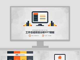 项目分析PPT