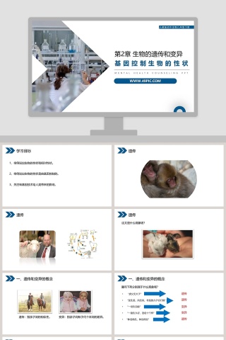 人教版初中生物八年级下册教学ppt课件