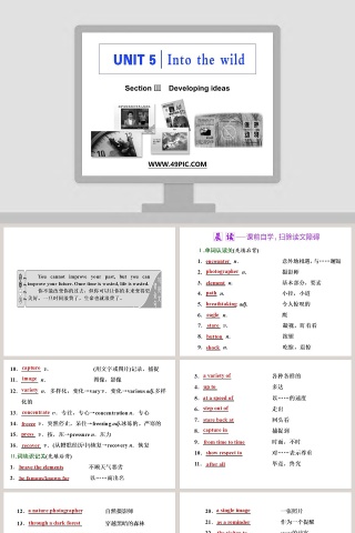 Section-Developing ideas教学ppt课件