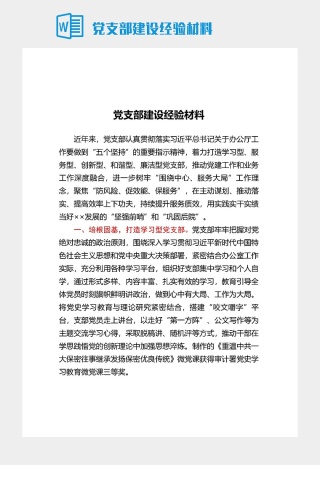 党支部建设经验材料