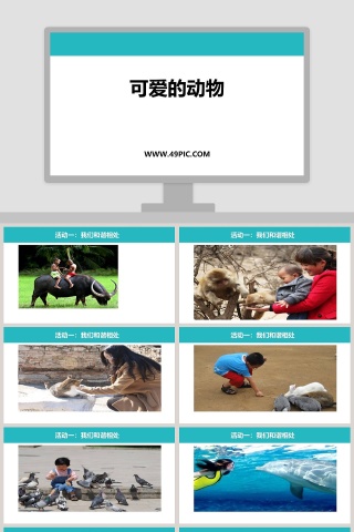 可爱的动物-教学ppt课件