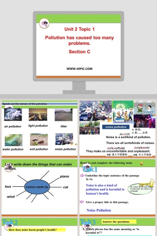 Unit 2 Topic 1-Pollution has caused too many problems-教育培训PPT模板