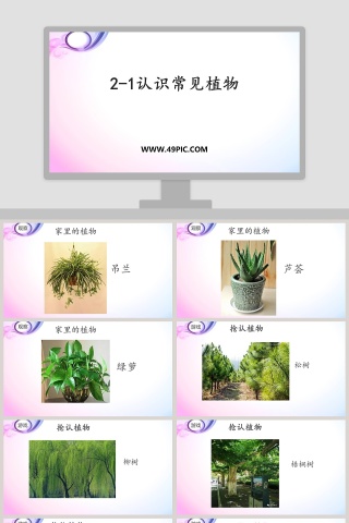 21-认识常见植物教学ppt课件