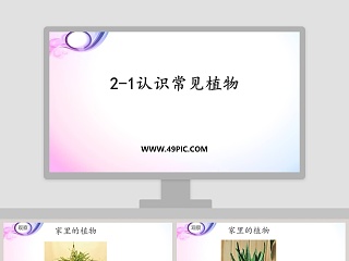 21-认识常见植物教学ppt课件