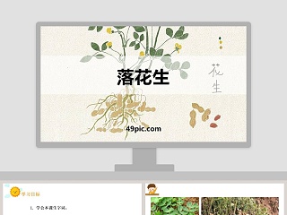 落花生教学ppt