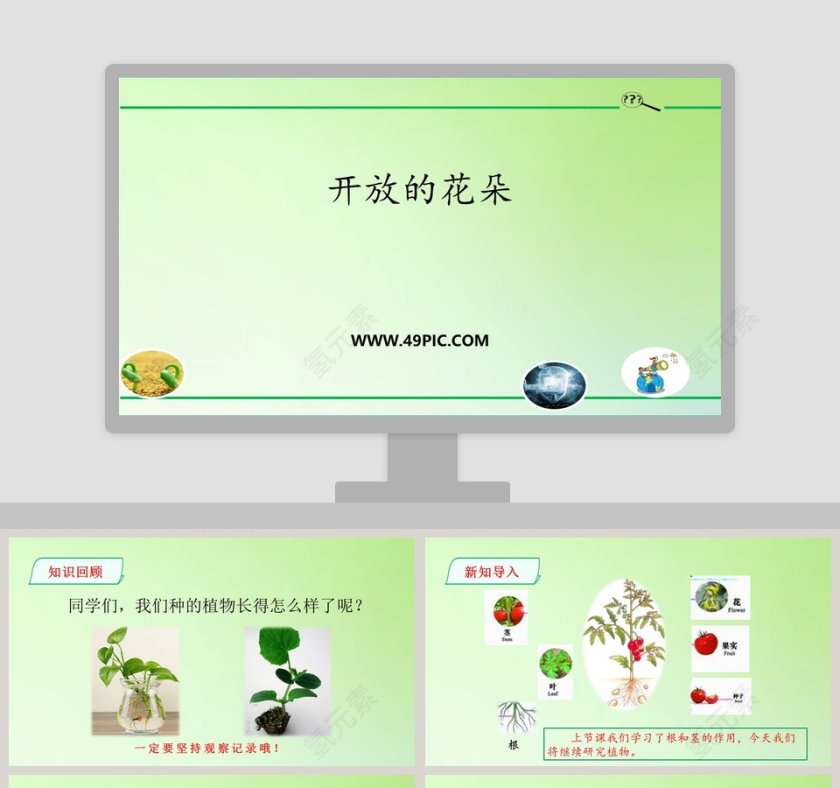 鲜艳的五月：开放的花朵PPT模板