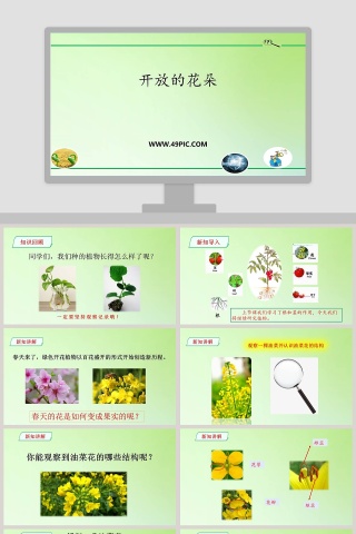 鲜艳的五月：开放的花朵PPT模板