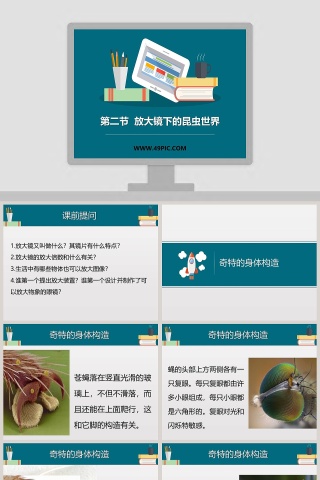 第二节  放大镜下的昆虫世界教学ppt课件
