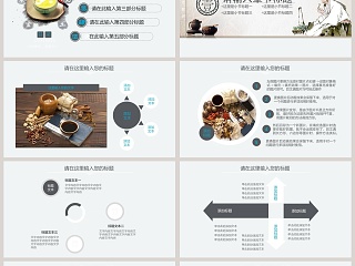 中医产品介绍通用工作概述PPT