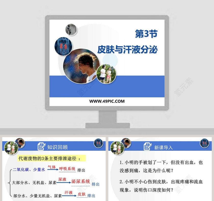 第3节论文答辩PPT模板使用指南