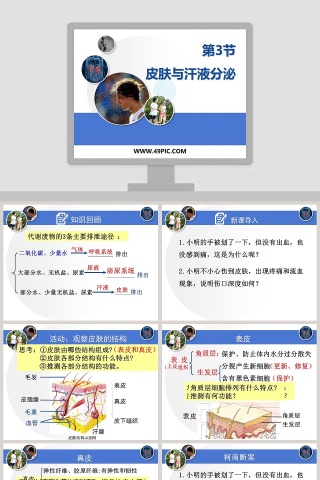 第3节论文答辩PPT模板使用指南