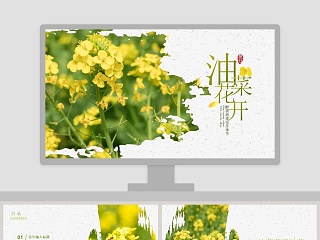 油菜花开了免费ppt