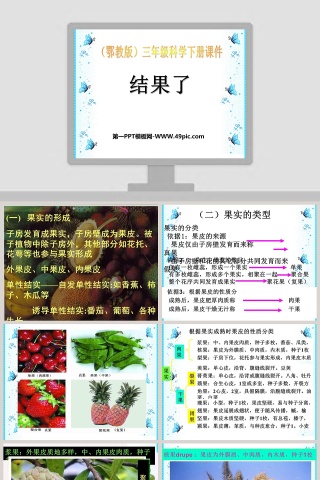 结果了-鄂教版三年级科学下册课件教学ppt课件