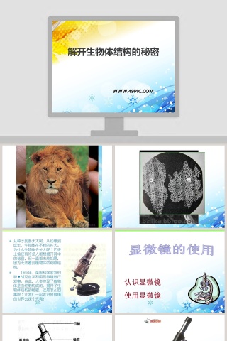 解开生物体结构的秘密教学ppt课件