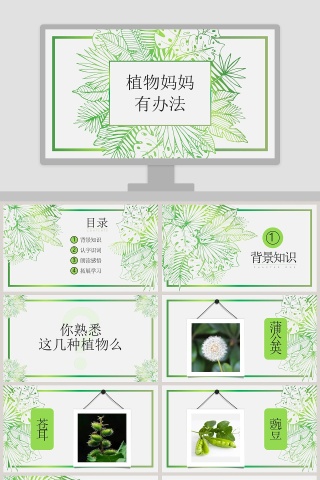 植物妈妈有办法ppt