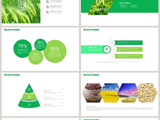 农业生产招商引资农产品宣传PPT模板