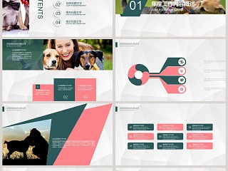 宠物医院工作汇报PPT模板