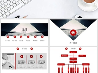 完整框架创业/商业项目计划书