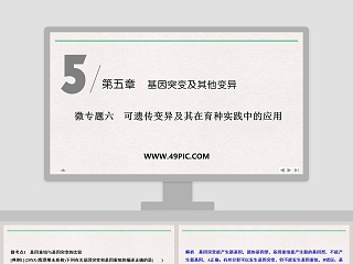 世界地图 ppt 可填充