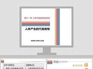 艺用人体解剖ppt