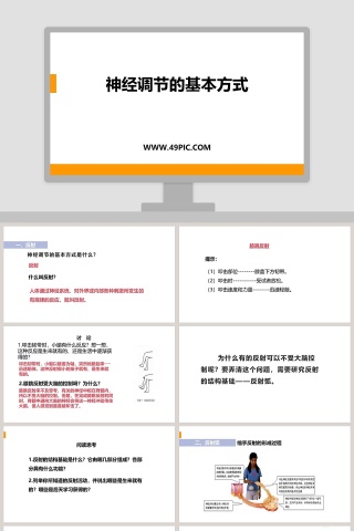 神经调节的基本方式教学ppt课件