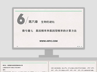 微专题七基因频率和基因型频率的计算方法教学ppt课件