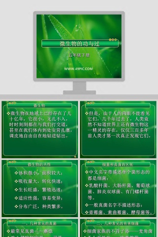 微生物的功与过教学ppt课件