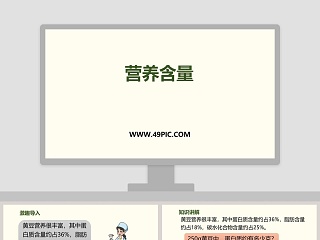 营养含量ppt