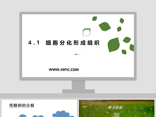 细胞的分化说课稿优秀ppt