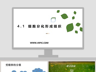 -细胞分化形成组织教学ppt课件