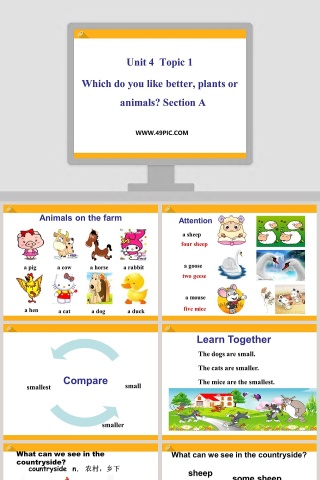 Unit 4  Topic 1-Which do you like better plants or animals Section A教学ppt课件下载