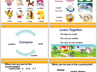 Unit 4  Topic 1-Which do you like better plants or animals Section A教学ppt课件