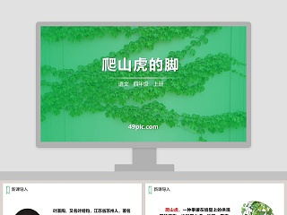 爬山虎的脚课文教案ppt