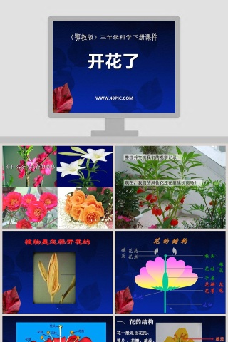 开花了-鄂教版三年级科学下册课件教学ppt课件