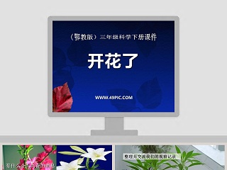 开花了-鄂教版三年级科学下册课件教学ppt课件