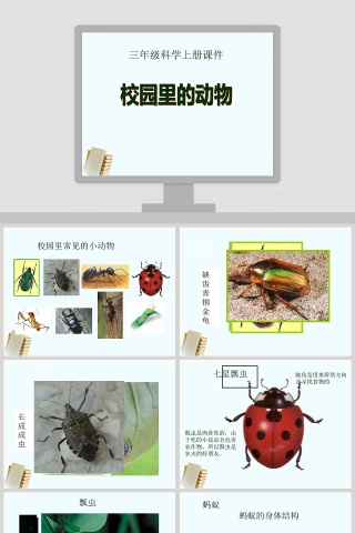 三年级科学上册课件校园里PPT模板免费下载
