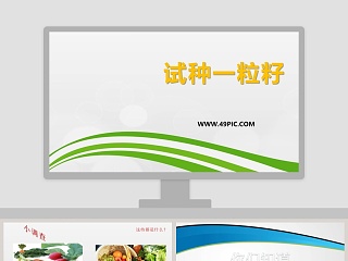 一粒种子的旅行 ppt