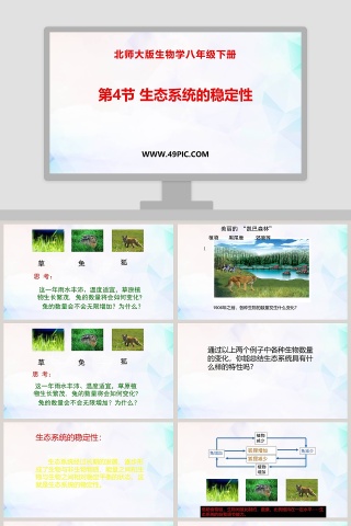 北师大版生物学八年级下册PPT模板大全