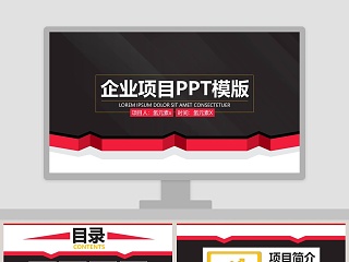 项目招商 ppt