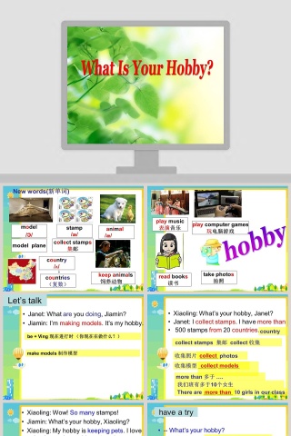 What Is Your Hobby教学ppt课件